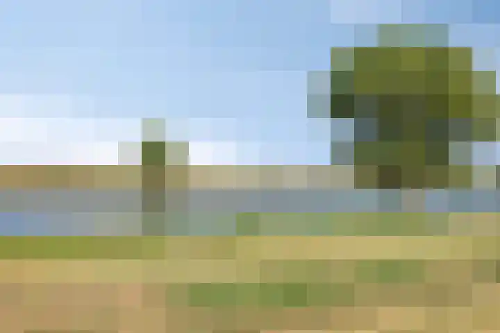 Zomerstraat 8 Lith thumbnail 50