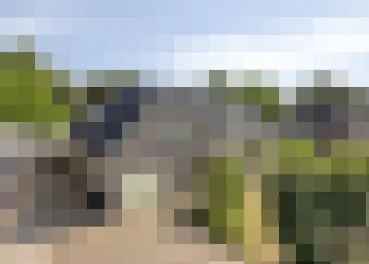 Zomerstraat 8 Lith thumbnail 57