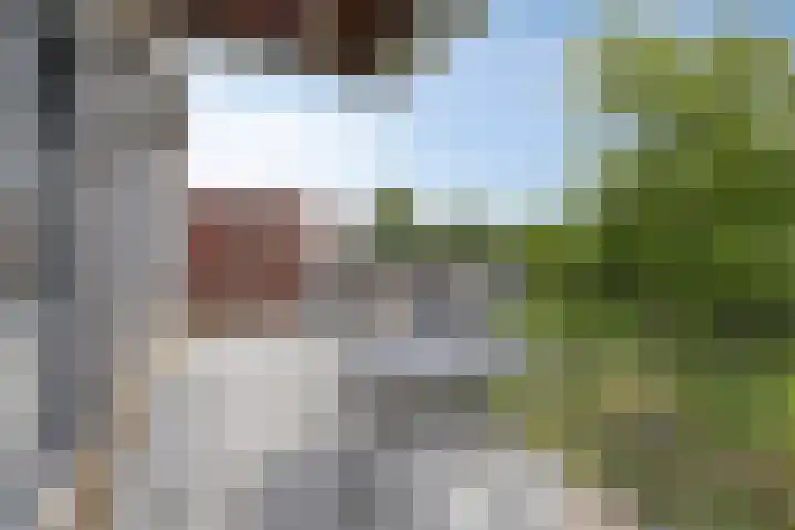 Zomertaling 11 Wijchen thumbnail 10