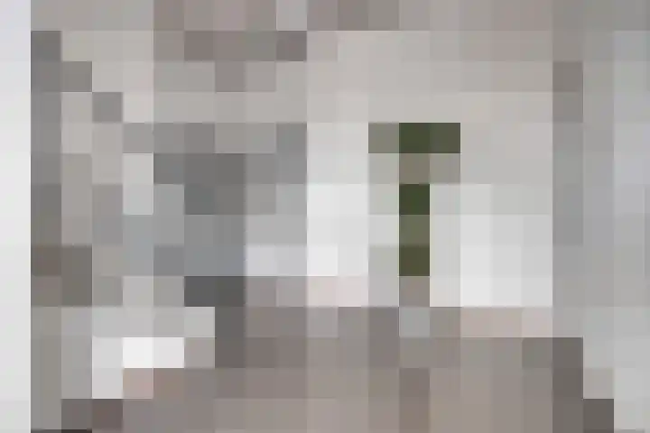 Zomertaling 11 Wijchen thumbnail 22