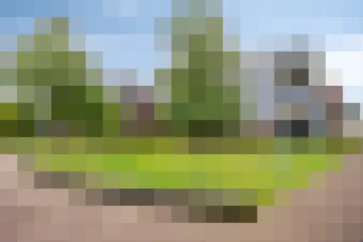 Zomertaling 11 Wijchen thumbnail 27