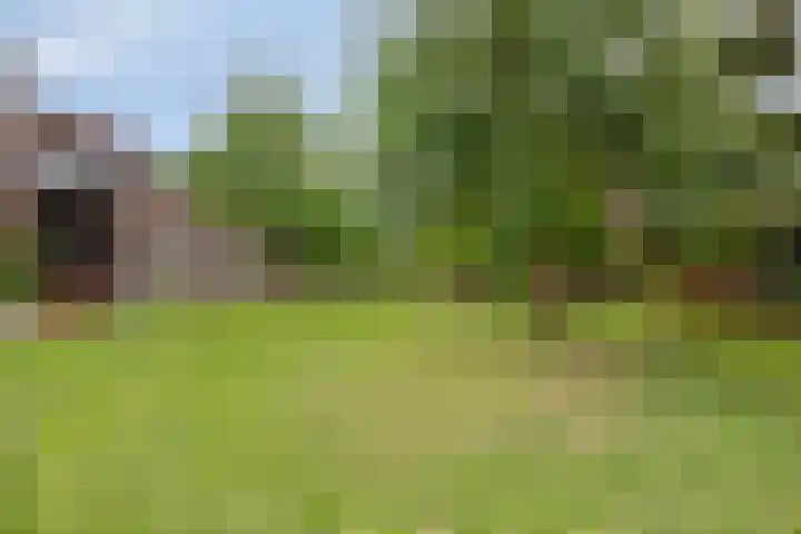 Zomertaling 11 Wijchen thumbnail 28
