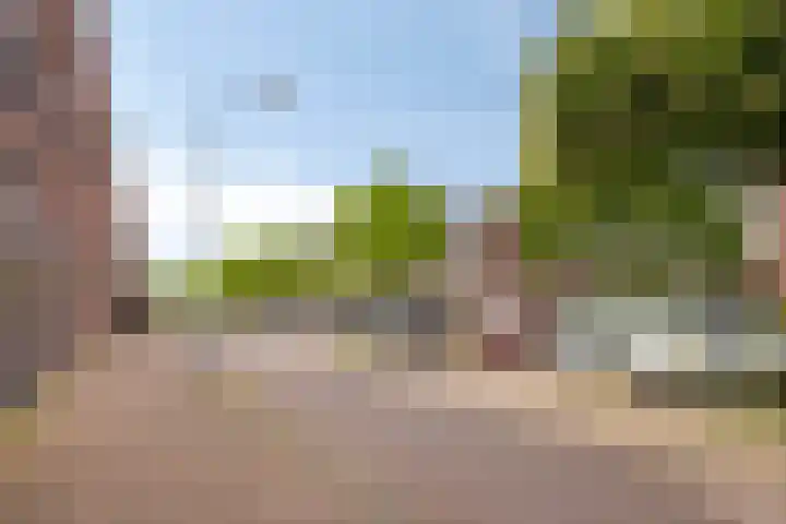 Zomertaling 11 Wijchen thumbnail 29