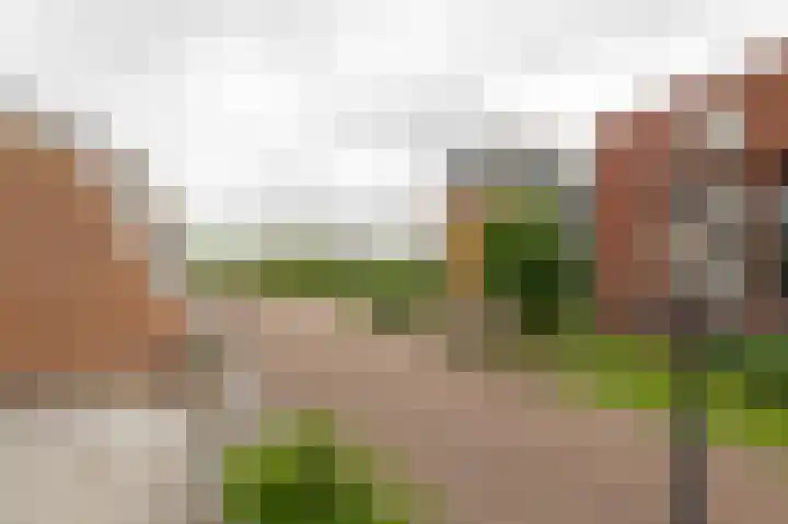Zomertaling 39 Culemborg thumbnail 23