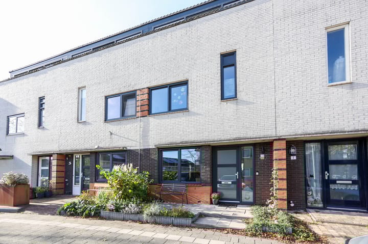 Zomertaling 5 in Ouderkerk aan de Amstel foto