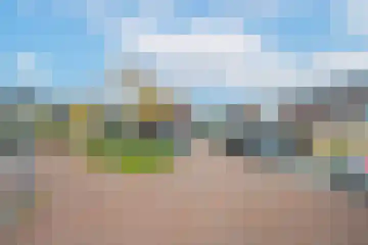 Zomertaling 9 Culemborg thumbnail 36
