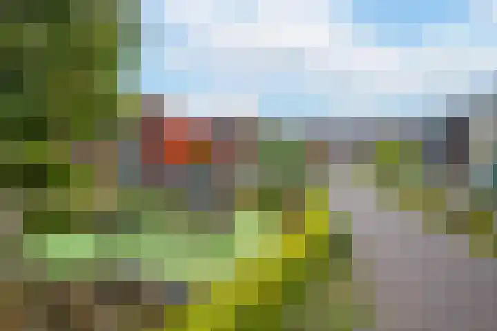 Zomertaling 9 Culemborg thumbnail 6