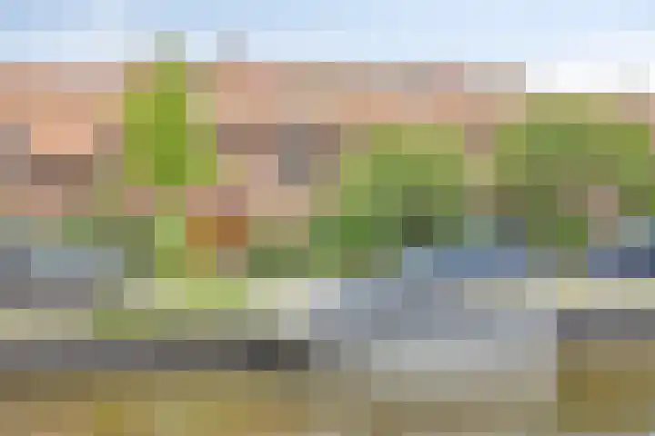 Zomervaart 84 in Haarlem