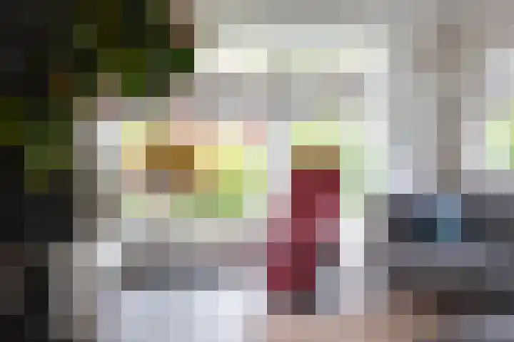 Zomerweg 25 Drempt thumbnail 12