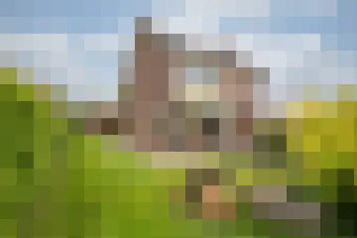 Zomerweg 25 Drempt foto 2