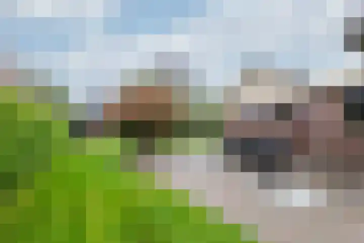 Zomerweg 25 Drempt thumbnail 33