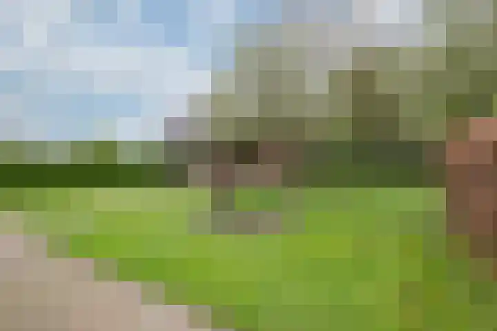 Zomerweg 25 Drempt thumbnail 34