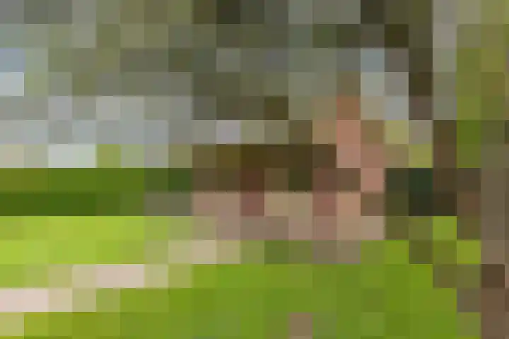 Zomerweg 25 Drempt thumbnail 35