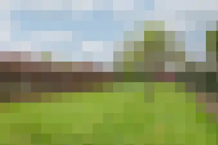 Zomerweg 25 Drempt thumbnail 41