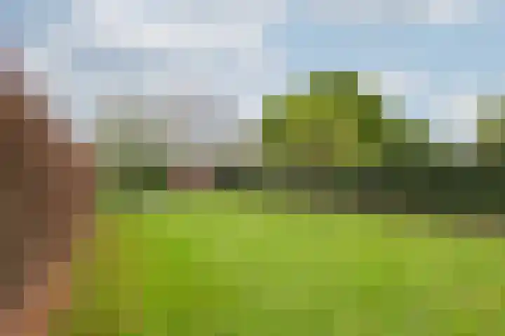 Zomerweg 25 Drempt thumbnail 42