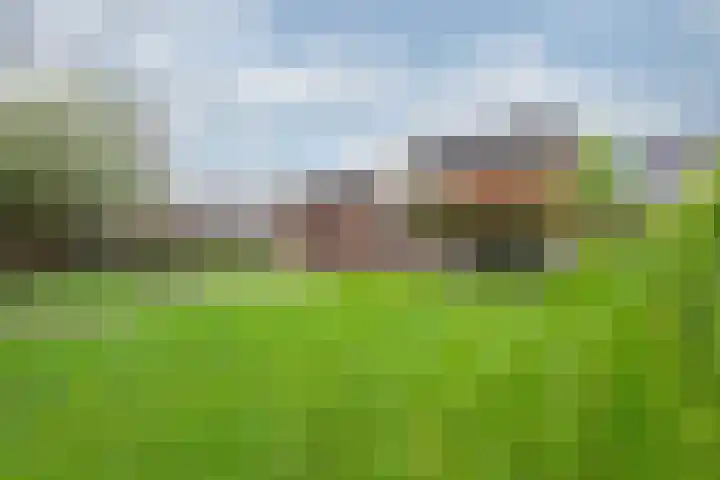 Zomerweg 25 Drempt thumbnail 43