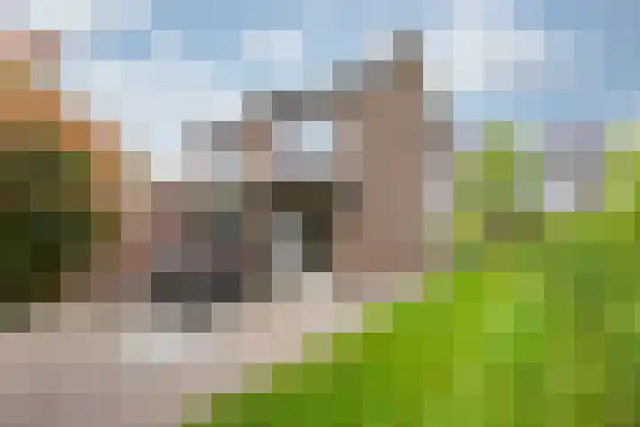 Zomerweg 25 Drempt thumbnail 45