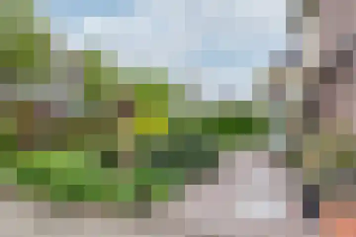 Zomerweg 25 Drempt thumbnail 5