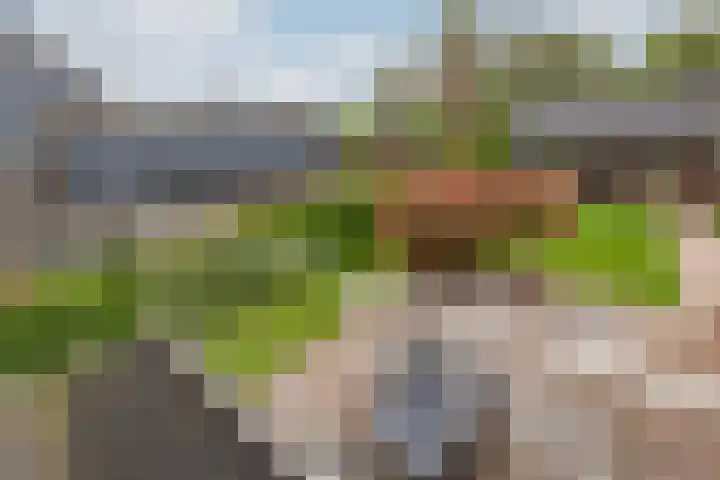 Zomerweg 25 Drempt thumbnail 56