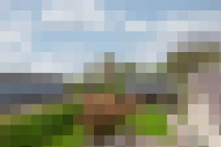 Zomerweg 25 Drempt thumbnail 57