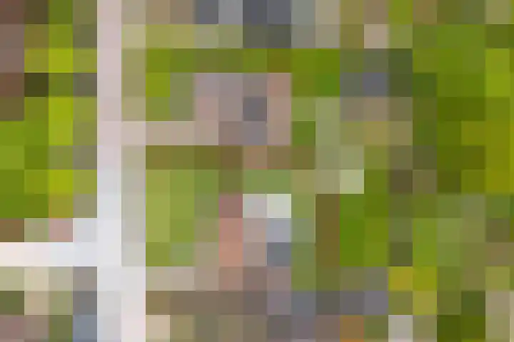 Zomerweg 25 Drempt thumbnail 69