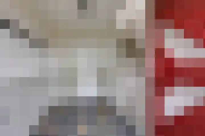 Zomerweg 25 Drempt thumbnail 7