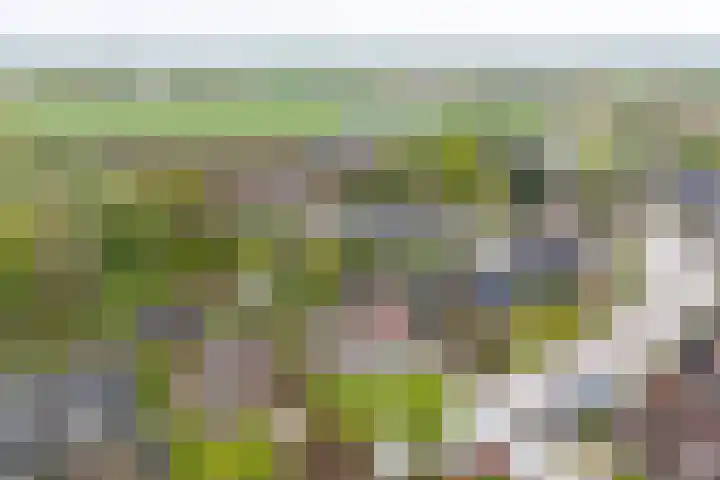 Zomerweg 25 Drempt thumbnail 70