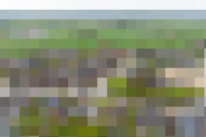 Zomerweg 25 Drempt thumbnail 71