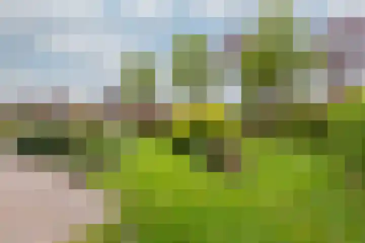 Zomerweg 25 Drempt thumbnail 74