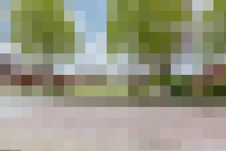 Zomerweg 25 Drempt thumbnail 76