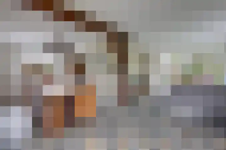 Zomerweg 25 Drempt thumbnail 8