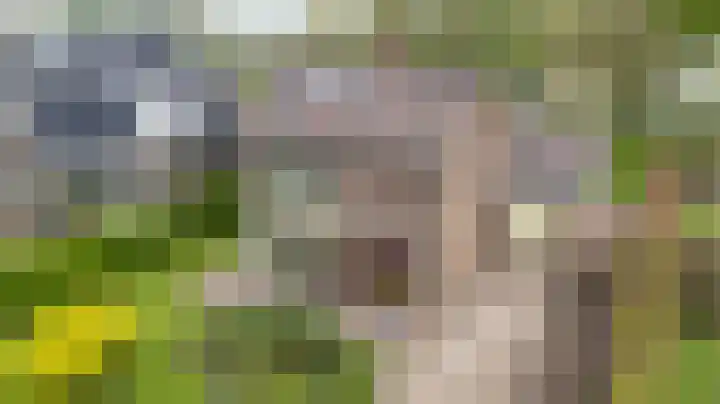 Zomerweg 25 Drempt thumbnail 84