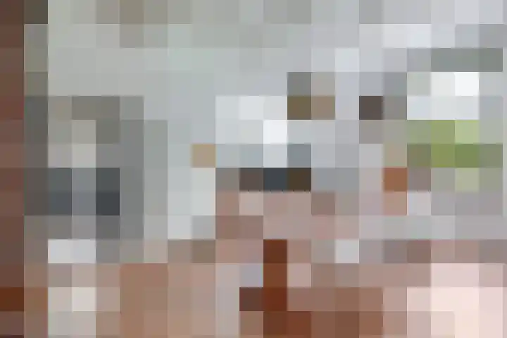 Zomerweg 49 Drempt thumbnail 14