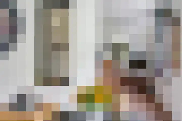 Zomerweg 49 Drempt thumbnail 17
