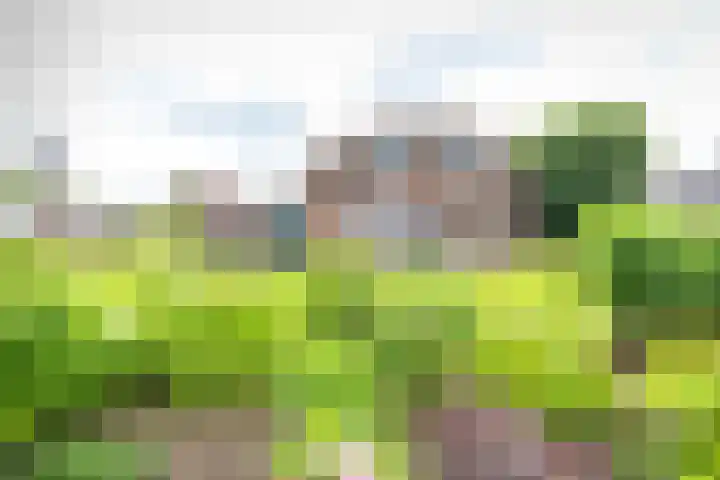 Zomerweg 49 Drempt thumbnail 5