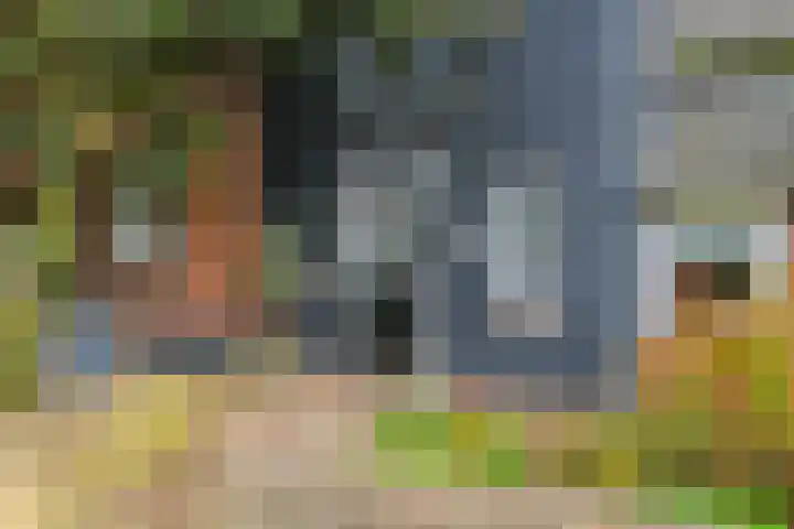 Zomerweg 49 Drempt thumbnail 50