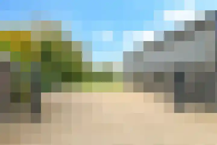 Zomerweg 49 Drempt thumbnail 57