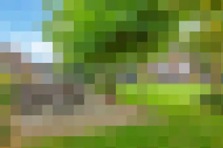 Zomerweg 49 Drempt thumbnail 59