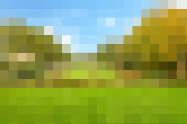 Zomerweg 49 Drempt thumbnail 6