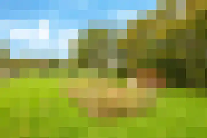 Zomerweg 49 Drempt thumbnail 62