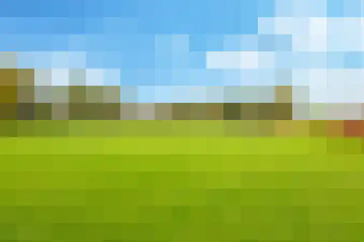 Zomerweg 49 Drempt thumbnail 65