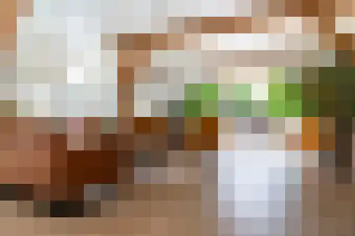 Zomerweg 60 Drempt thumbnail 13