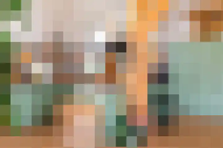 Zomerweg 60 Drempt thumbnail 17