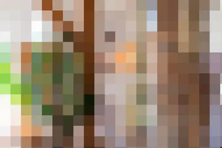 Zomerweg 60 Drempt thumbnail 26