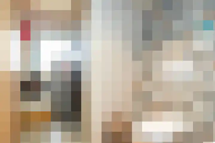 Zomerweg 60 Drempt thumbnail 27