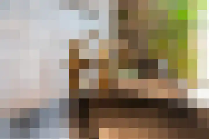 Zomerweg 60 Drempt thumbnail 34