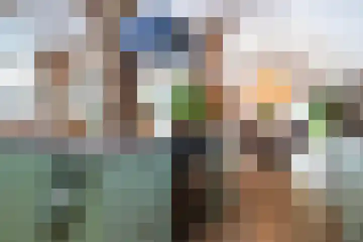 Zomerweg 60 Drempt thumbnail 4