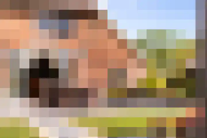Zomerweg 60 Drempt thumbnail 45