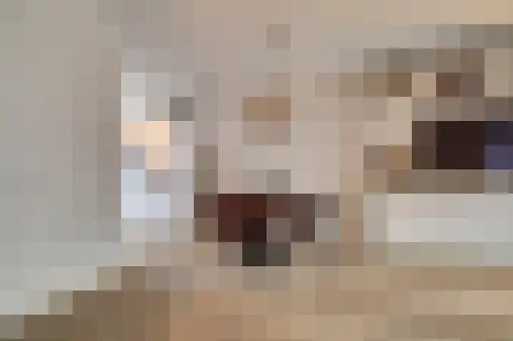 Zonnebaars 11 Rossum thumbnail 12