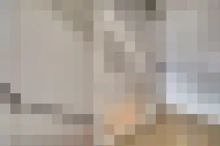 Zonnebaars 11 Rossum thumbnail 19